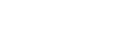 INSPECTION